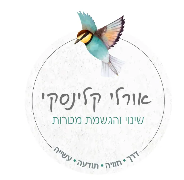 לוגו ועיצוב גרפי של סטודיו אפ